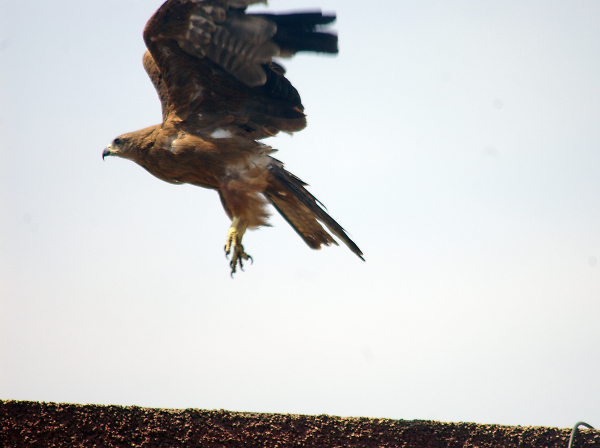 Take off