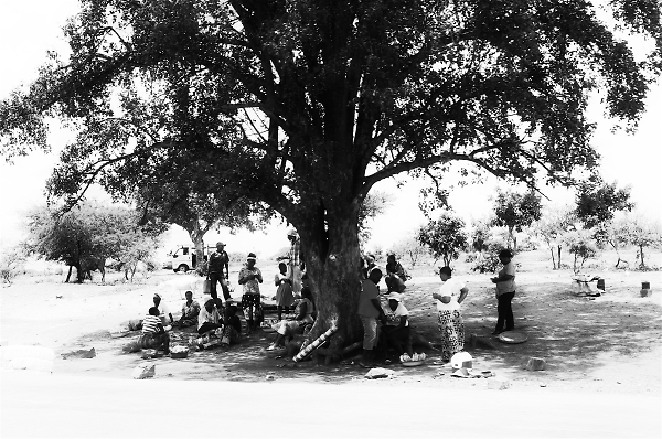 Traditional Rhodesian/Zimbabwean bus stop.