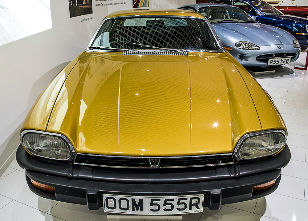 Coventry gold