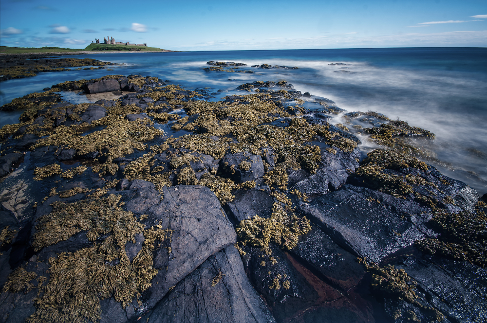 Dunstanburgh Castle