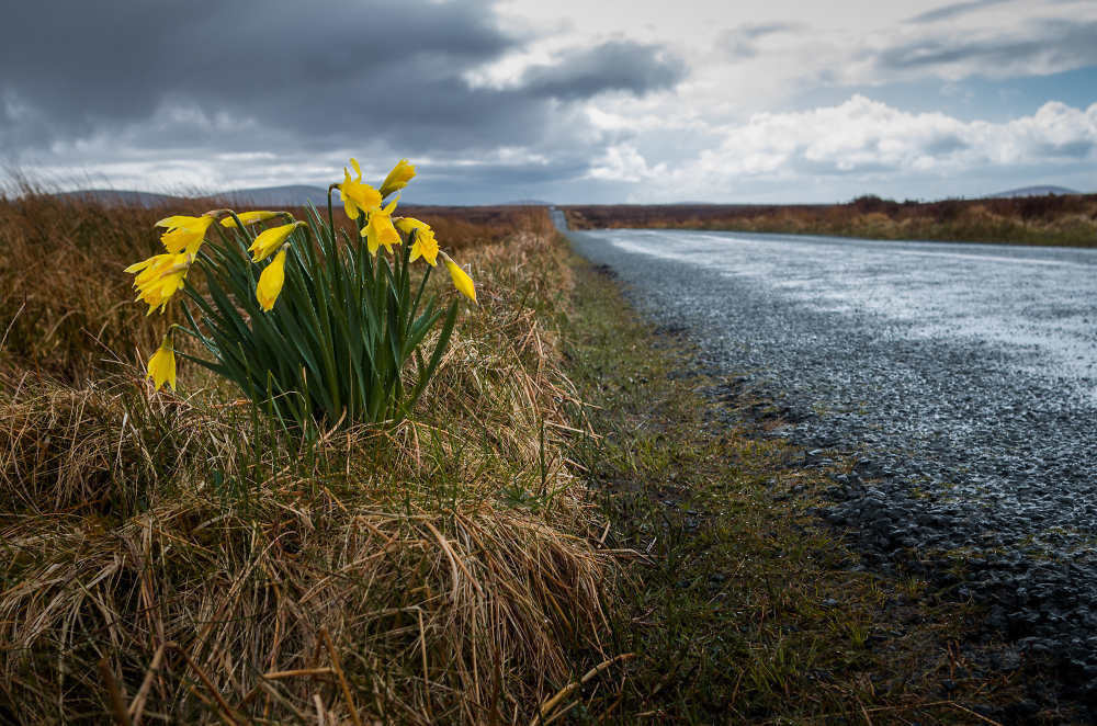 Spring