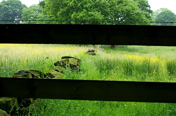 boundaries