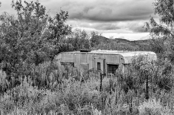 Forgotten Travels, Forgotten Dreams