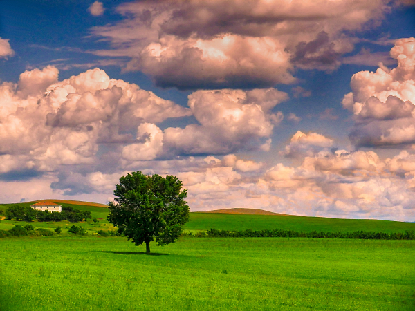 Grumbling Clouds
