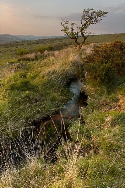 Holne Moor Leat