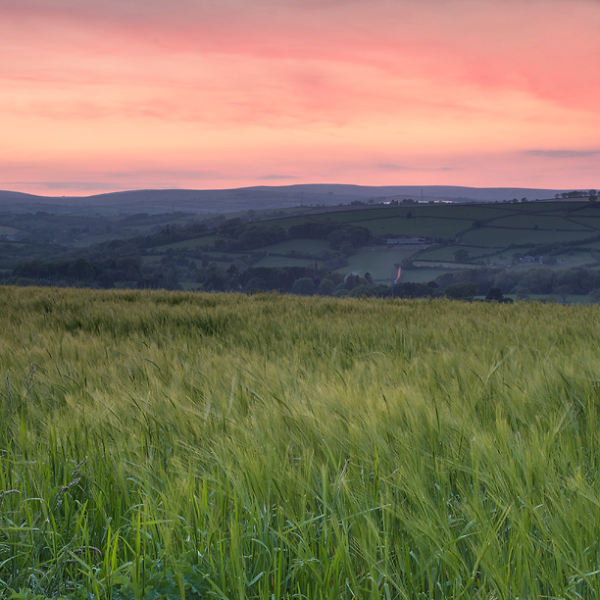 On, beyond Blakemore
