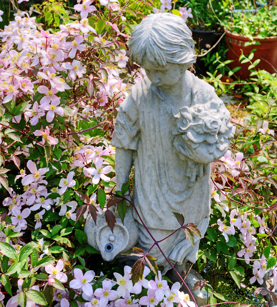 Surrounded by Flowers