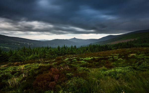 Wicklow Mountains