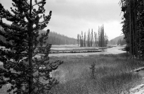 Yellowstone National Park