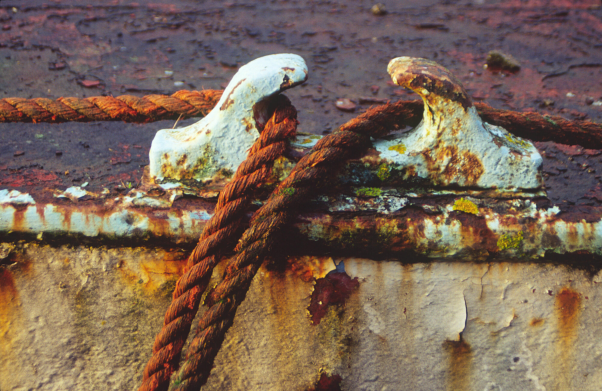 rust & texture!