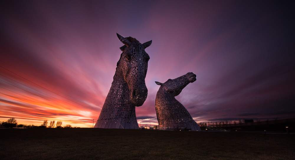 All About Kelpies Photos All