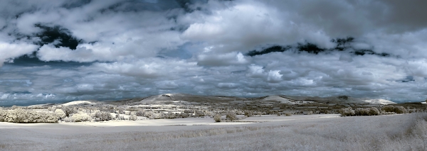 IR K01 1st shots
