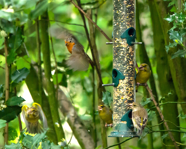 Jostling