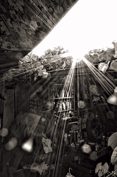 The dance with light.