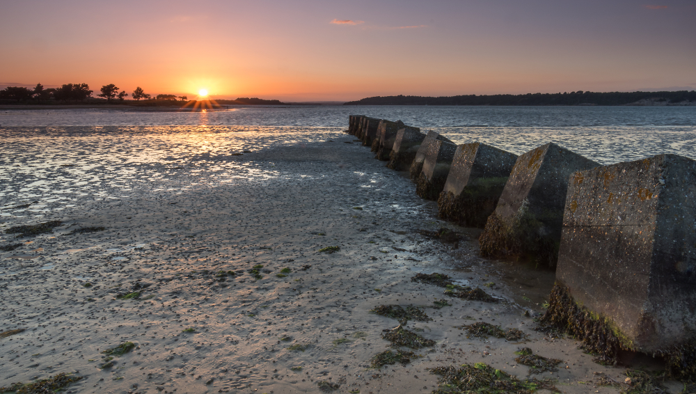 Dragon's teeth