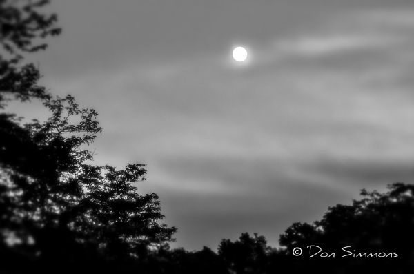 By the Light of the Silvery Moon - Monochrome