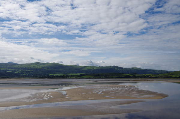 Estuary Art