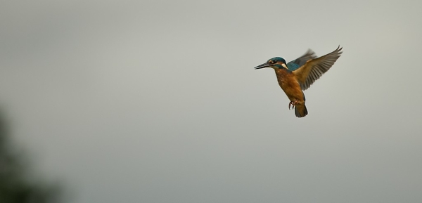 Flying high