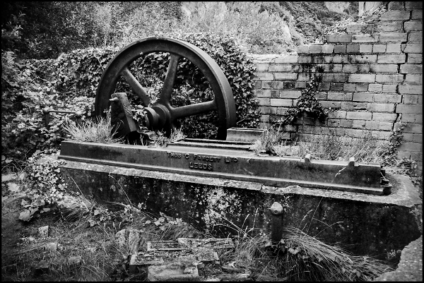Relic