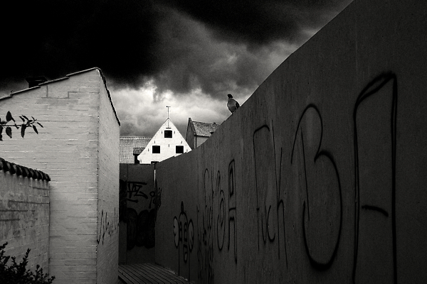 The Wall