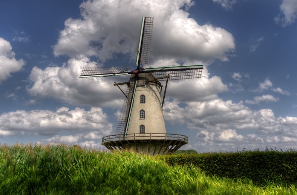 Wind Mill