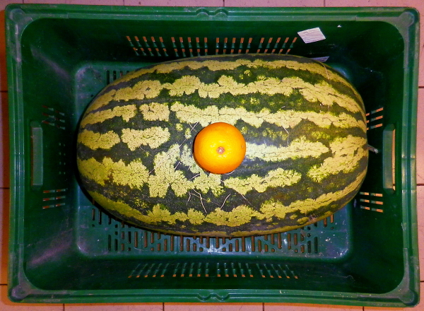 XXXL Extra Large