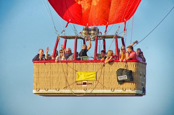 Basket of fun !