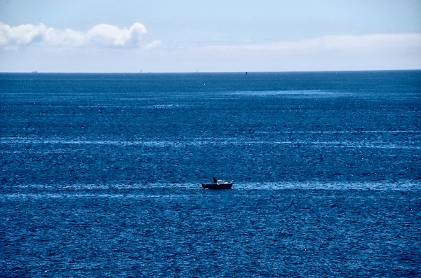 Busy horizon