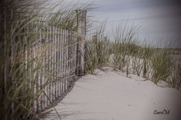Cape May
