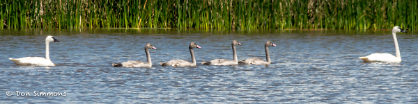 Family Outing
