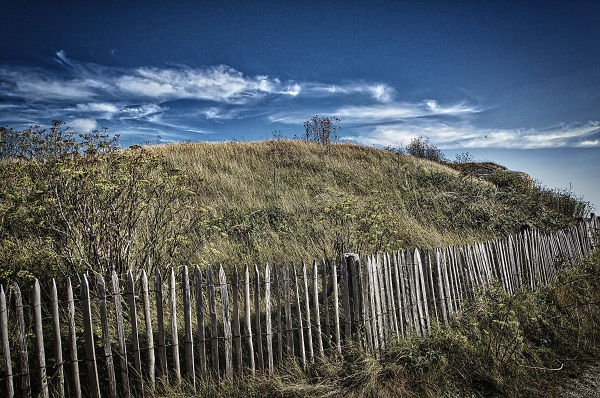 Fence