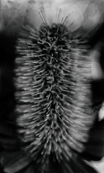 found image from pabodie expedition