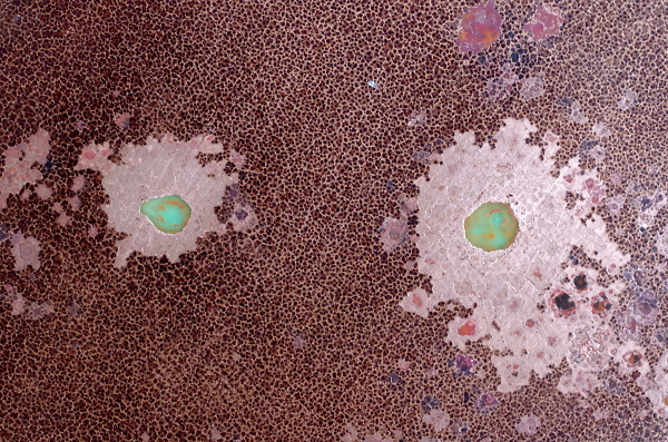 Fractal copper corrosion