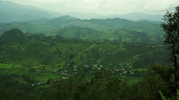 Greenery