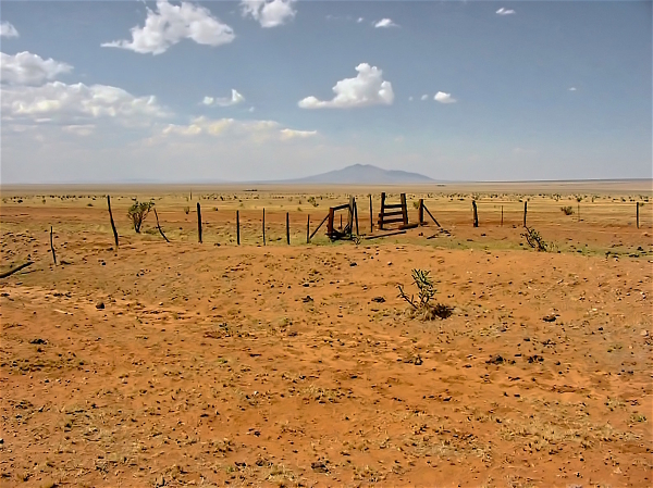 New Mexico