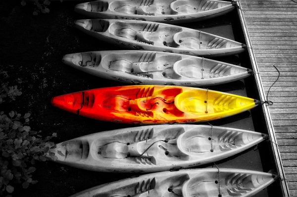 Odd boat (not) OUT, but IN
