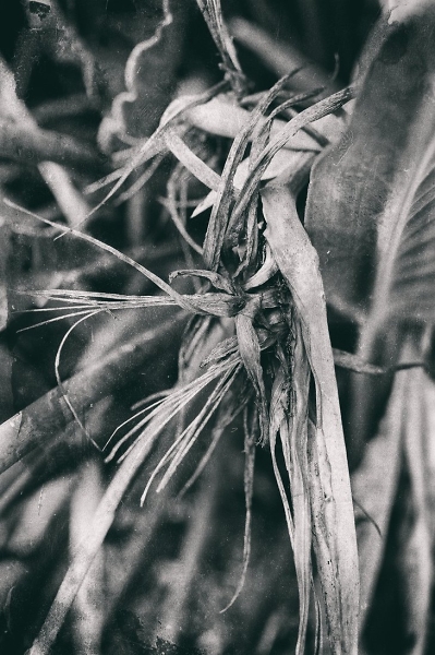 paradise lost canto iii