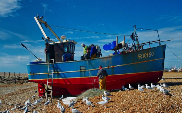 Preparing the nets..