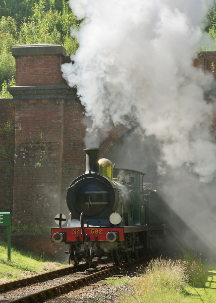 Veteran in Steam