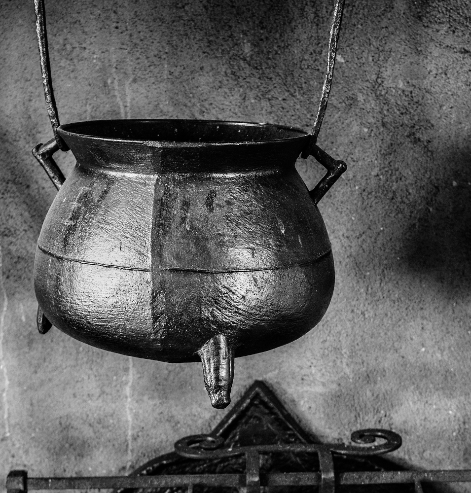From the kitchen at Plas Mawr