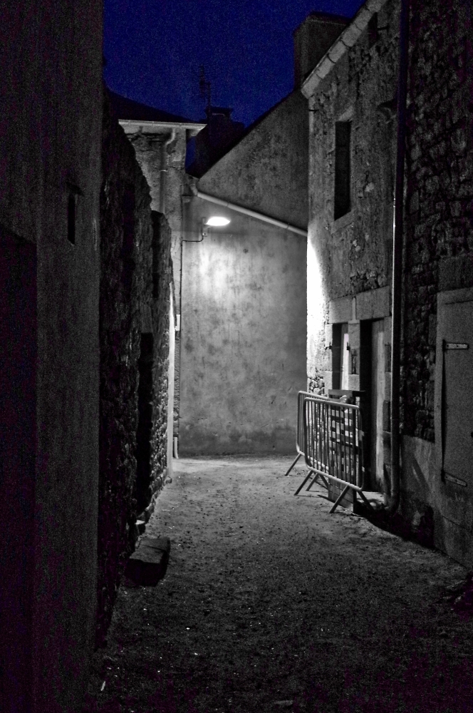 Night life