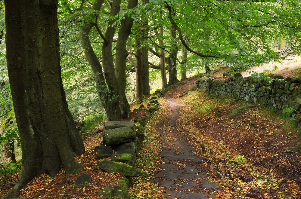 Pecket Well Clough
