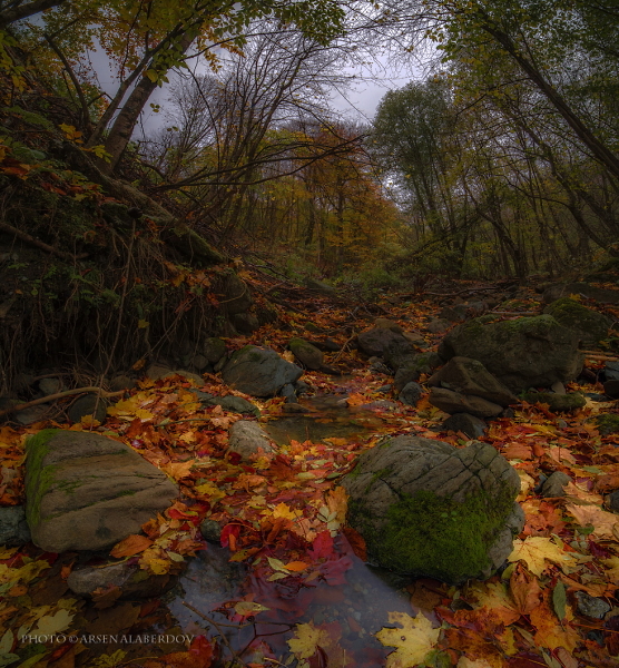 AUTUMN IN ARHYZ . K-1, SAMYANG 14 2.8