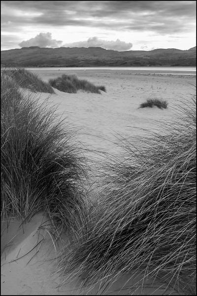 From the Dunes