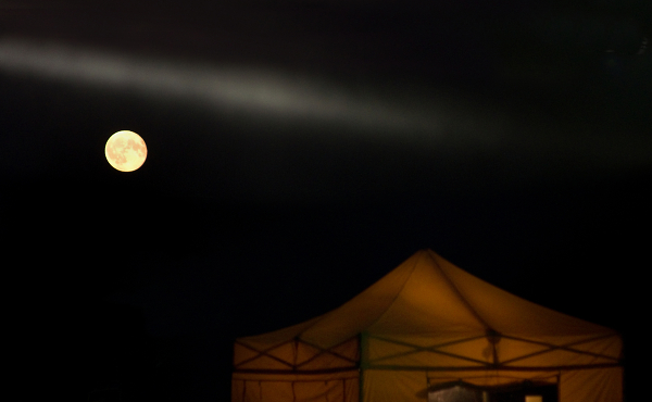 Moon Shot