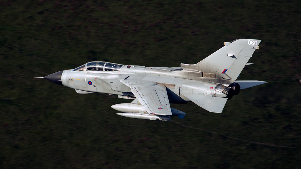 Mrm 62 Catching the light