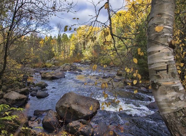 Rapids in automn...