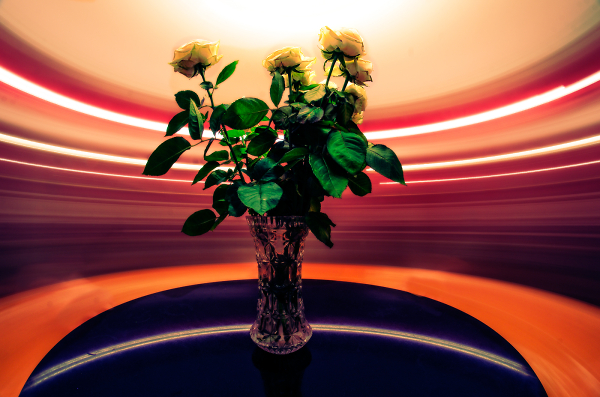 Spinning Roses