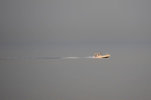 Spot the horizon