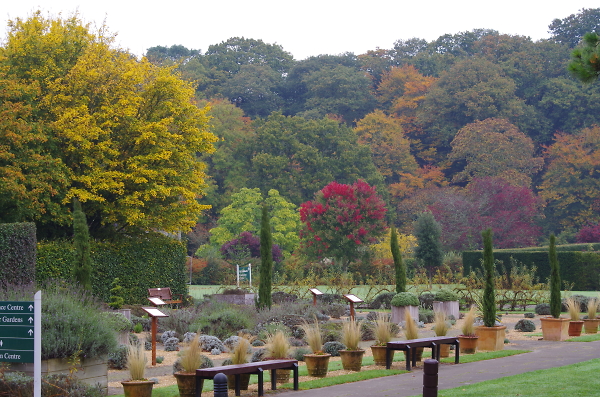 The many colours of Autumn